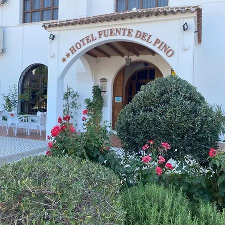 Hotel Meson Fuente del Pino-3